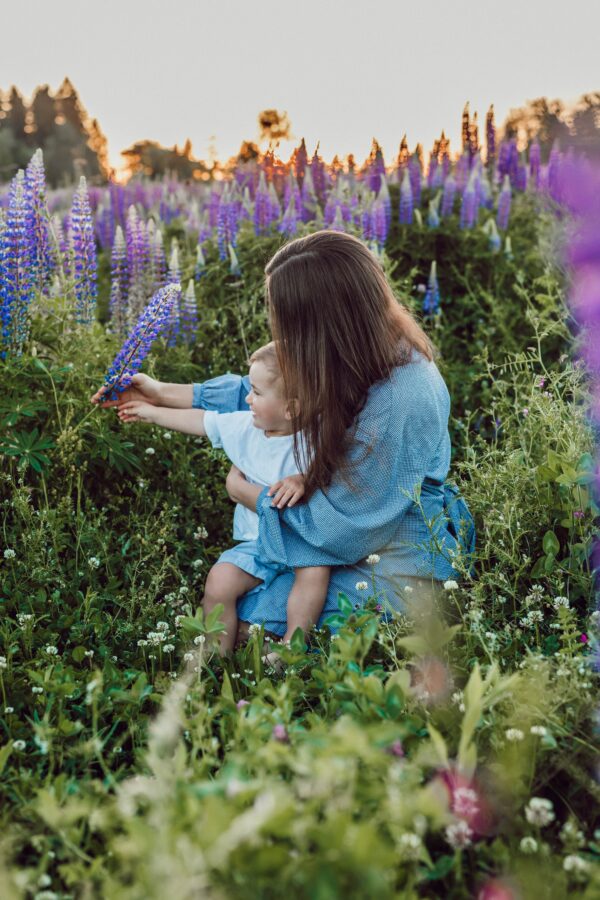 Highly Sensitive Parenthood Course