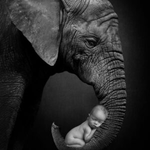 In Home Newborn Session with Folio Box of 5 Prints